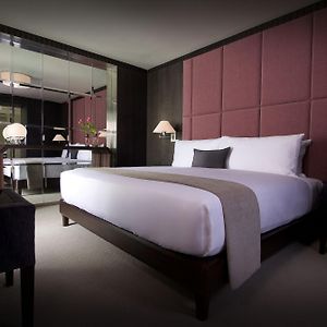 Suite Executive con Cama King